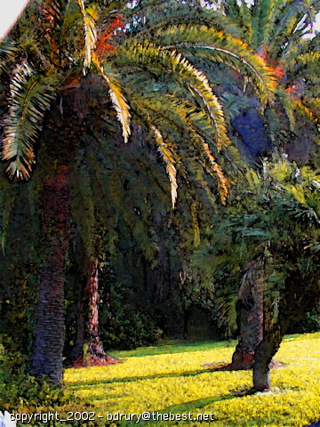 palms watercolor144pic0002.jpg