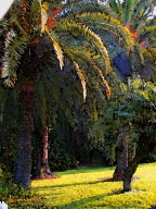palms watercolor144PIC0002.jpg